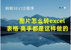 图片怎么转excel表格 高手都是这样做的