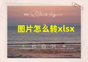 图片怎么转xlsx