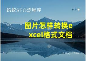 图片怎样转换excel格式文档