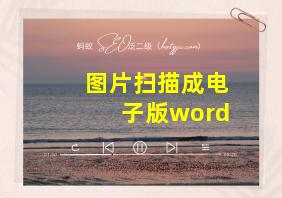 图片扫描成电子版word