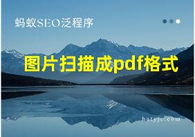 图片扫描成pdf格式