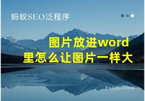 图片放进word里怎么让图片一样大