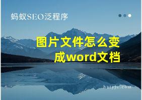 图片文件怎么变成word文档