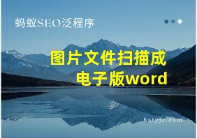 图片文件扫描成电子版word