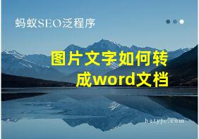 图片文字如何转成word文档