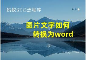 图片文字如何转换为word