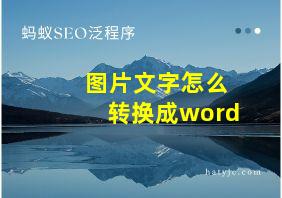 图片文字怎么转换成word