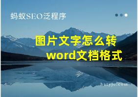 图片文字怎么转word文档格式