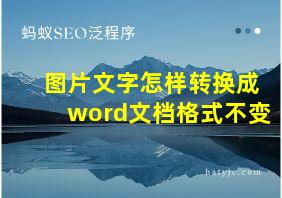 图片文字怎样转换成word文档格式不变