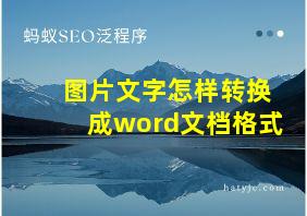 图片文字怎样转换成word文档格式