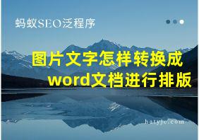 图片文字怎样转换成word文档进行排版