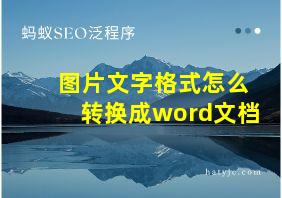 图片文字格式怎么转换成word文档