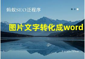 图片文字转化成word