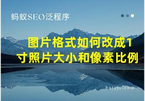 图片格式如何改成1寸照片大小和像素比例