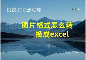 图片格式怎么转换成excel