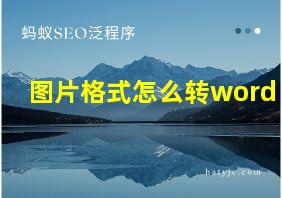 图片格式怎么转word