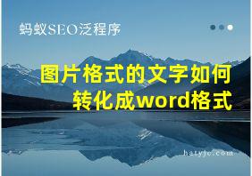 图片格式的文字如何转化成word格式