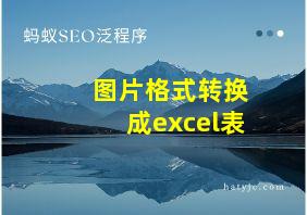 图片格式转换成excel表