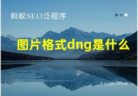 图片格式dng是什么