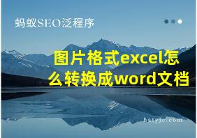 图片格式excel怎么转换成word文档