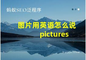 图片用英语怎么说pictures