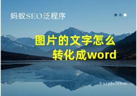 图片的文字怎么转化成word