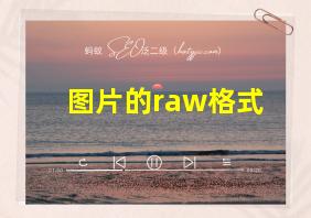 图片的raw格式