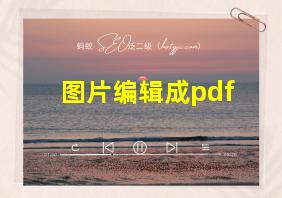 图片编辑成pdf