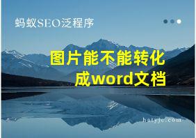 图片能不能转化成word文档