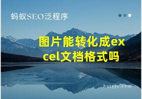 图片能转化成excel文档格式吗