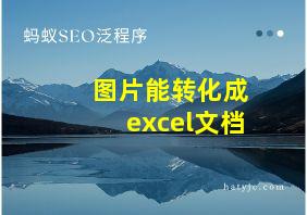 图片能转化成excel文档