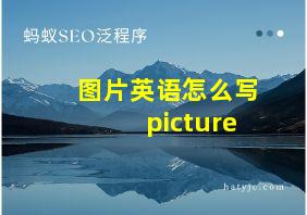 图片英语怎么写picture