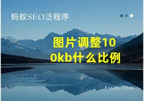 图片调整100kb什么比例