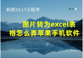 图片转为excel表格怎么弄苹果手机软件