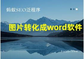 图片转化成word软件