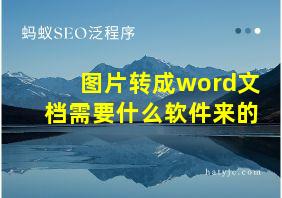 图片转成word文档需要什么软件来的