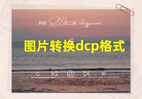 图片转换dcp格式