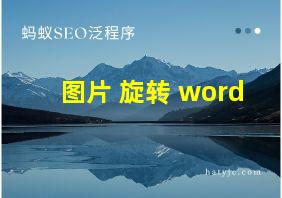 图片 旋转 word