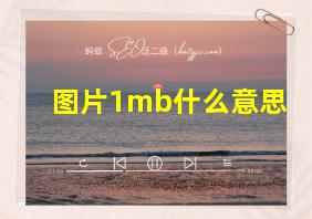 图片1mb什么意思