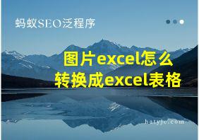 图片excel怎么转换成excel表格