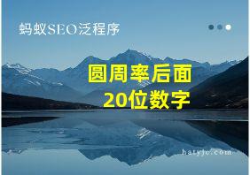 圆周率后面20位数字