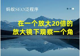 在一个放大20倍的放大镜下观察一个角