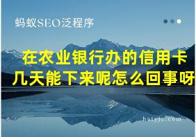 在农业银行办的信用卡几天能下来呢怎么回事呀