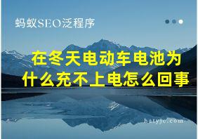 在冬天电动车电池为什么充不上电怎么回事