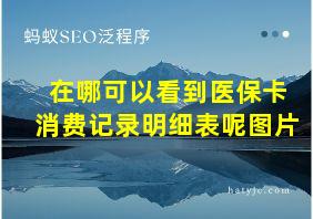 在哪可以看到医保卡消费记录明细表呢图片