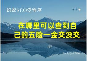 在哪里可以查到自己的五险一金交没交