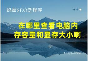 在哪里查看电脑内存容量和显存大小啊