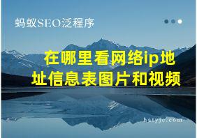 在哪里看网络ip地址信息表图片和视频