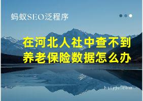 在河北人社中查不到养老保险数据怎么办