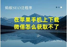 在苹果手机上下载微信怎么获取不了